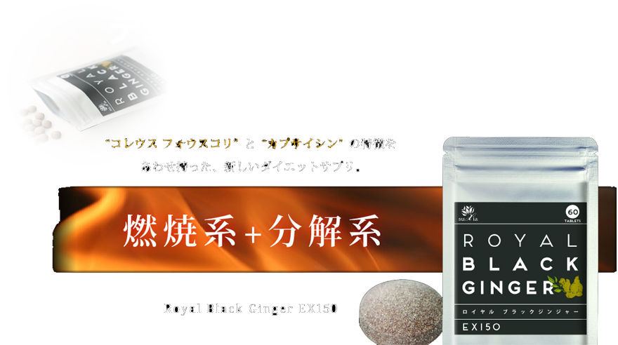 テニス×ブラックジンジャー「3サイクルをサポート」