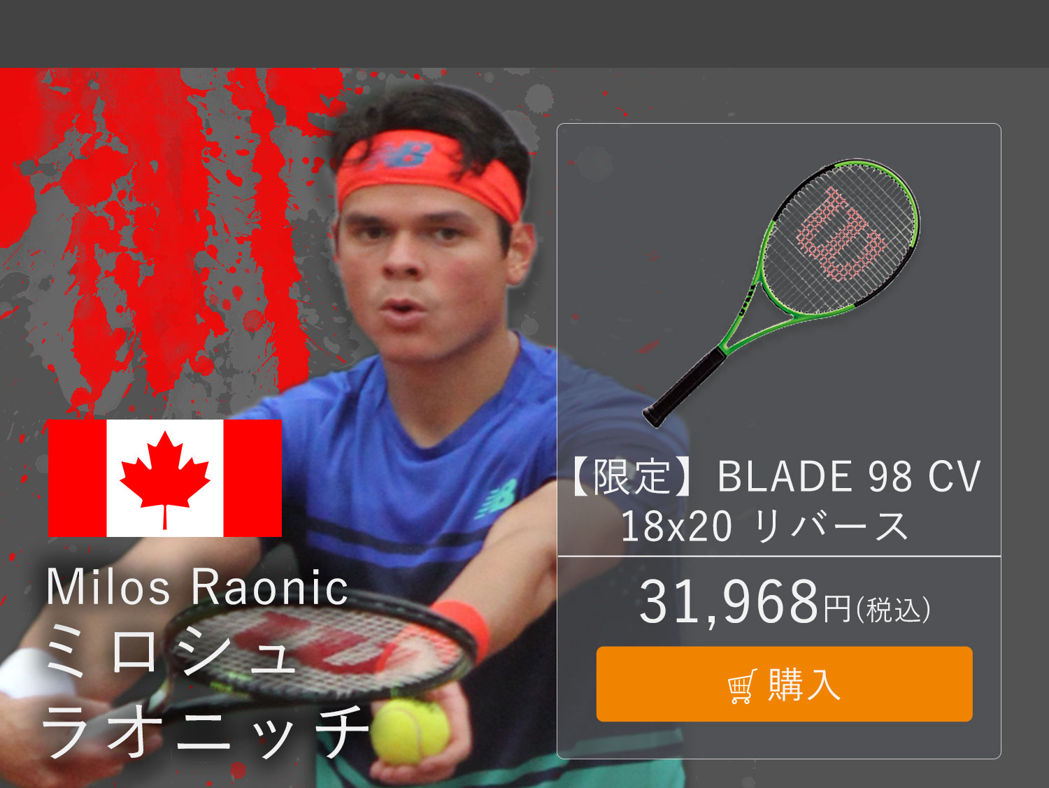 ミロッシュラオニッチ