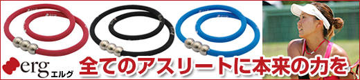 エルグ